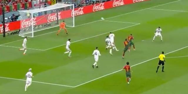 1669662588181036769.jpg 57647654.jpg